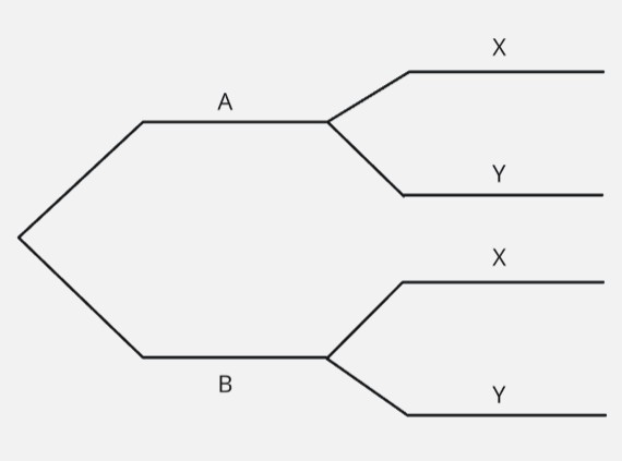 Tree diagram showing successive probability events